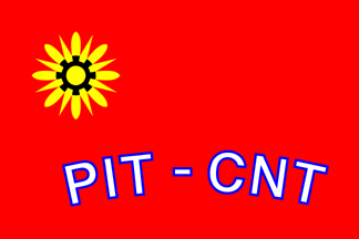 [Flag of the labor union PIT-CNT]